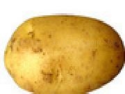 Play Mr Potato Head
