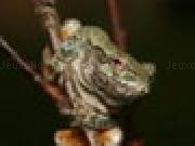 Play Gray Treefrog Jigsaw