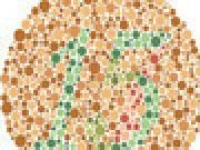 Spielen Drawn to the Exit 1.1