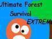Play Ultimate Forest Survival