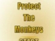 Play Protect the monkeys