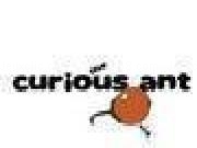 Play the curious ant