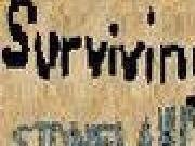 Play Surviving Stoneland