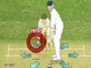 Play The Ashes Cricket