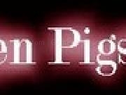 Play When Pigs Fly