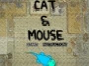 Play Cat N Mouse Chaser