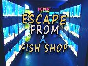 Play Escape From a Fish Shop