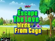 Play Escape The Love birds From Cage