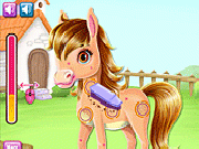 Play Baby Horse Caring
