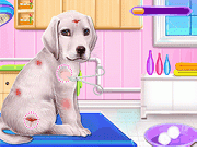 Play Labrador Puppy Day Care