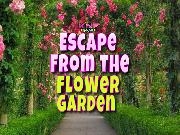Play Escape From the Flower Garden