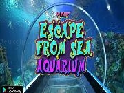 Play Escape From Sea Aquarium
