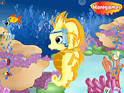 Play Cute Seahorse