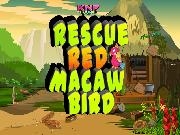 Play Rescue Red Macaw Bird