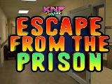 Play escape from the prison