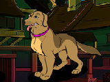 Play Bestescapegames finding krish