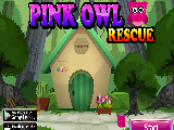 Play Pink owl rescue