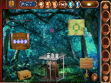 Play Bear escape