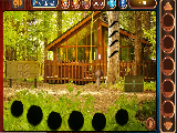 Play Starving lion escape