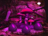 Play Midnight purple forest secrets