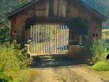 Play Escape from forest gate