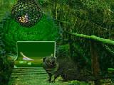 Play Rescue elephant ivory
