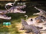 Jugar a Escape crocky