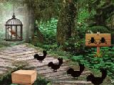 Play Sparrow escape