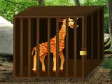 Play Escape game save the giraffe