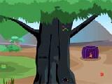 Play Escape the kangaroo