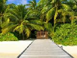 Play Wow tropical paradise escape