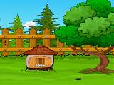 Play fox rescue