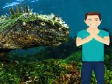 Play Underwater man incredible rescue
