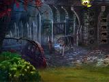 Play wild fox rescue escape