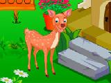 Play rescue cute deer 2