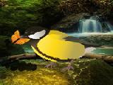 Play Amazon birds forest escape