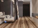 Play escape from sleek grayscale apartme