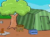 Play baby raccoon rescue