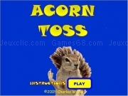 Play Acorn toss
