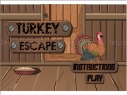 Play Turkey escape