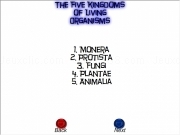 Play Five kingdom fungi