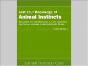 Play Animal instincts quiz