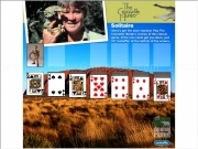 Play The crocodile hunter solitaire