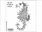 Play Sally