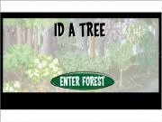 Play Walk4 id a tree