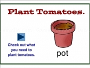 Play Plant tomatoes