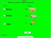 Play Animal quiz higher