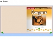 Play Book cougars vietnamese