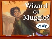 Play Crazy quiz potter