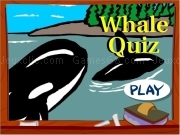 Play Crazyquiz whale